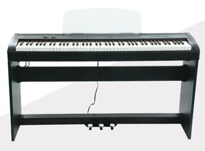 2018英昌乐器电钢琴新品发布 引领数字音乐新纪元